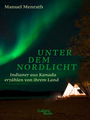 cover image of Unter dem Nordlicht